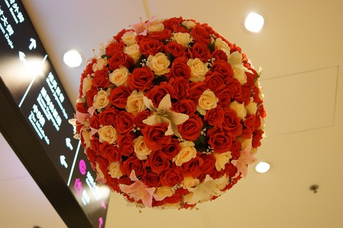 索尼(SONY)A65套机 18-135mm数码相机人物