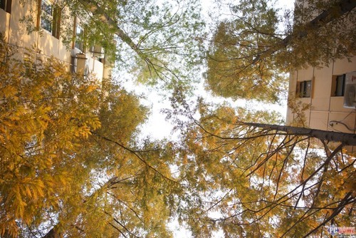 索尼(SONY)A7R套机 FE35mm数码相机室外样