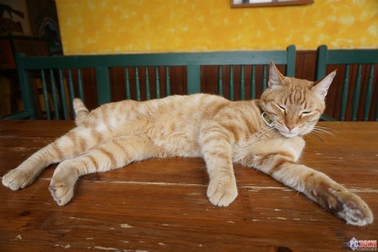 索尼(SONY)A6000数码相机夜景弱光评测-ZOL